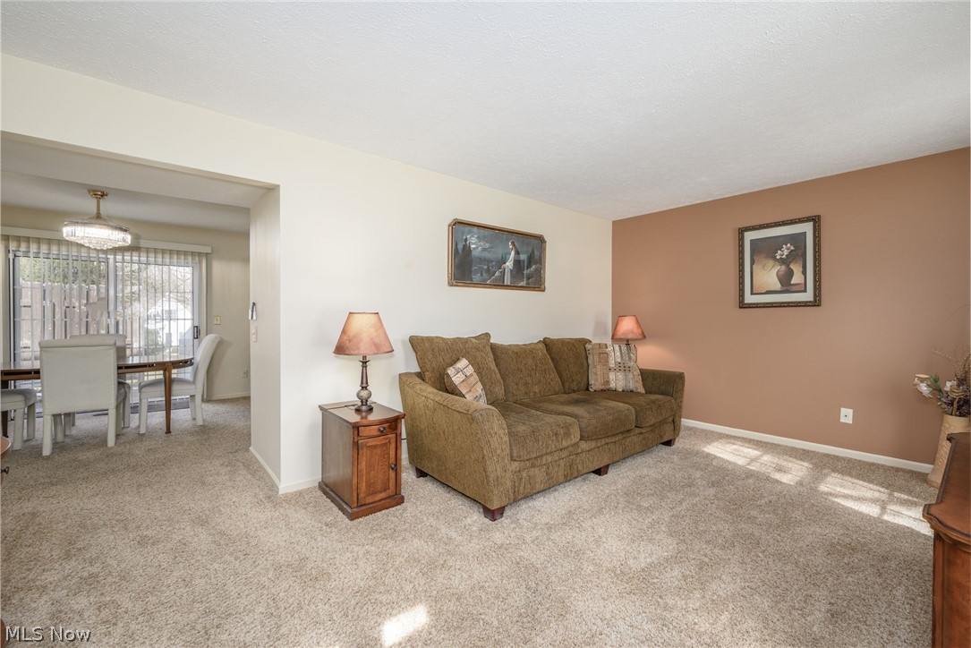 Brook Point Village Condo - Residential