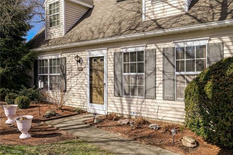 Tiny photo for 3385 Ash Lane, Cuyahoga Falls, OH 44223 (MLS # 5190175)