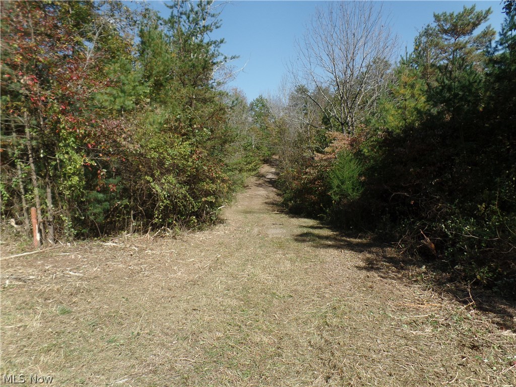 Bruner-Burton - Residential