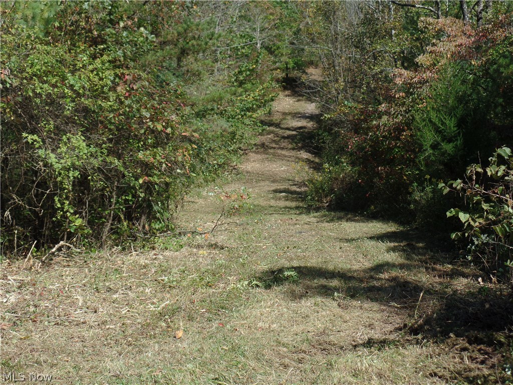 Bruner-Burton - Residential