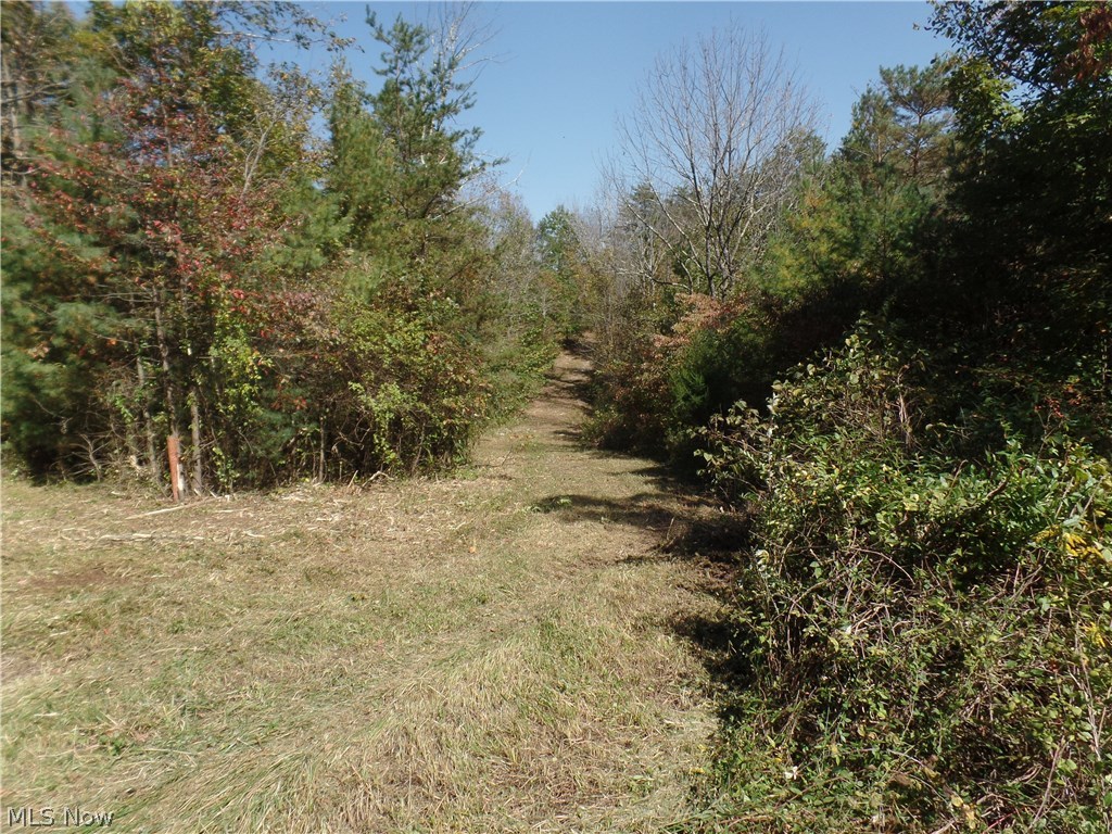 Bruner-Burton - Residential