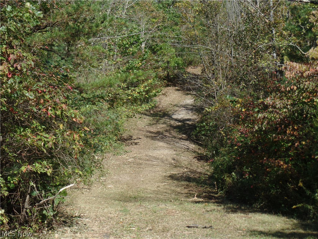 Bruner-Burton - Residential