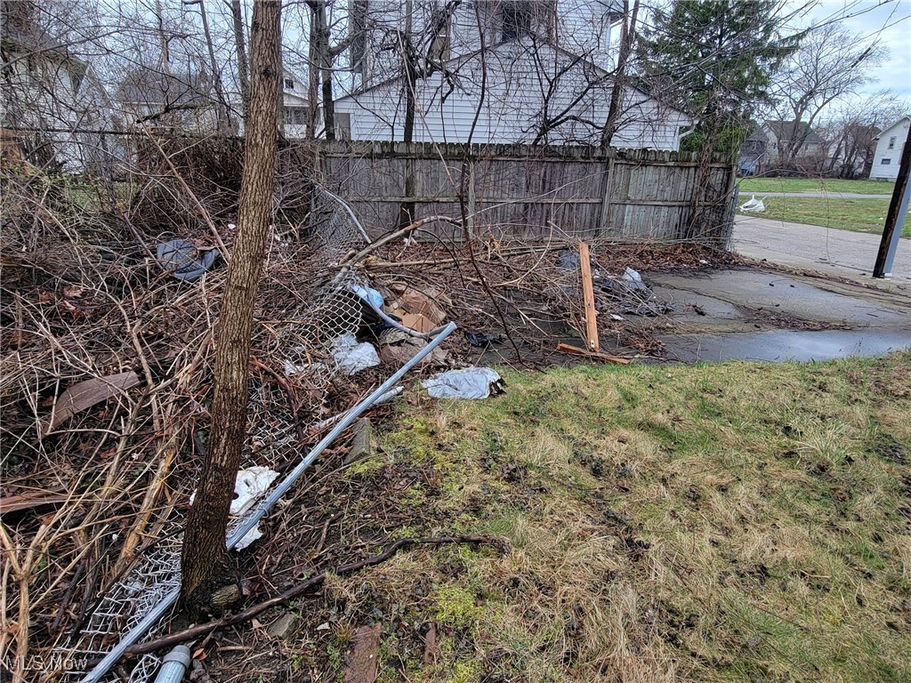 866 E 131st Street, Cleveland, Ohio image 16