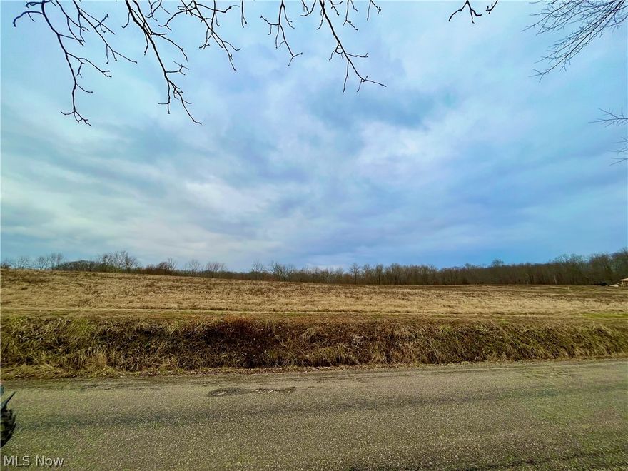 Newly split 3.515 acres of cleared rolling frontage and some nice woodland space at the rear.  Truly a must see!  Come with your dreams!
Listing agent is related to sellers.  Subsurface rights do not convey.  Adjacent parcels listed separately.