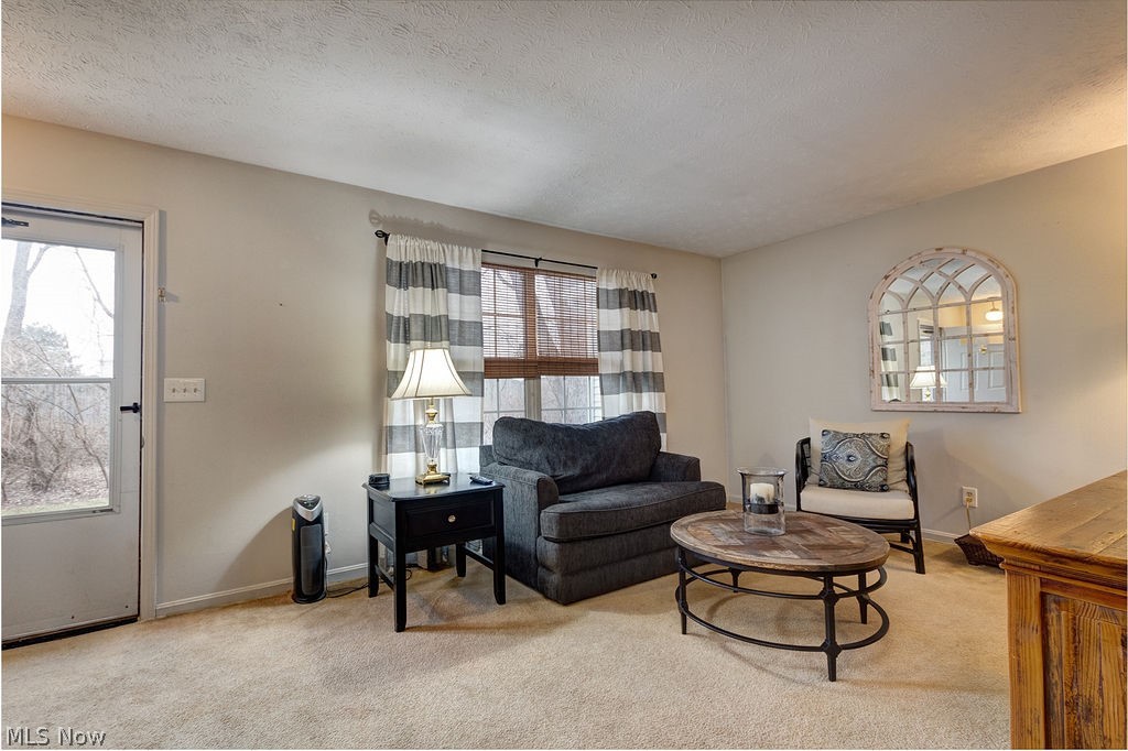 Terrace Common Condo - Residential