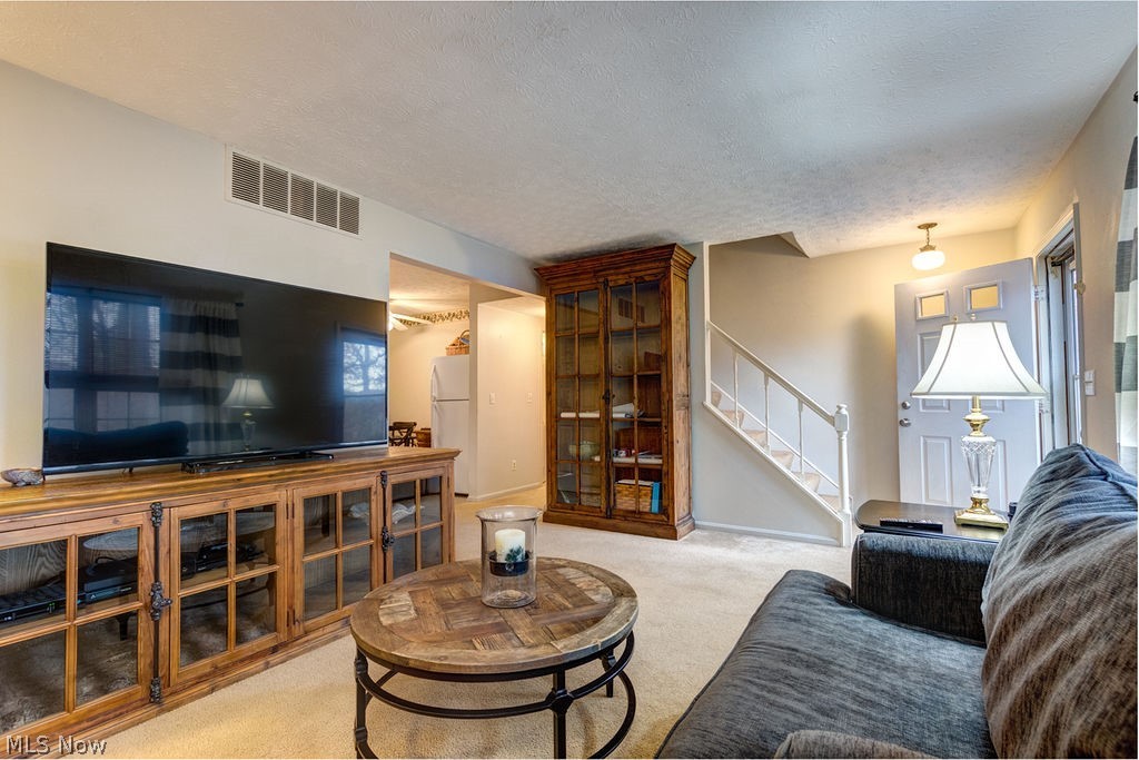 Terrace Common Condo - Residential