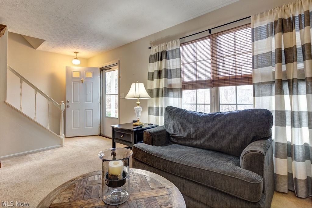 Terrace Common Condo - Residential