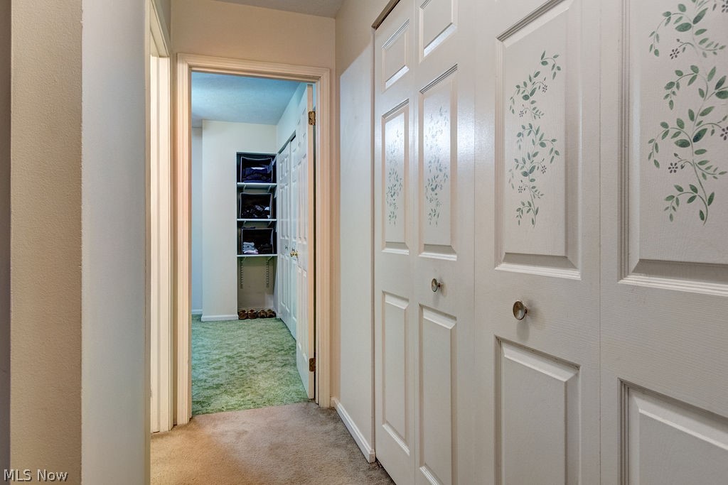 Terrace Common Condo - Residential