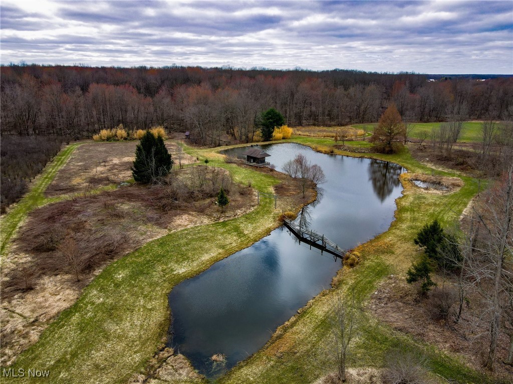 6232 Weaver Road, Conneaut, Ohio image 41