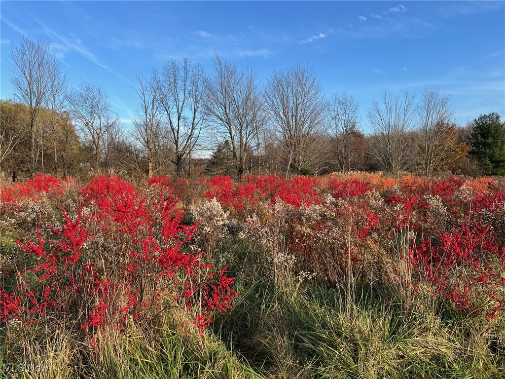 6232 Weaver Road, Conneaut, Ohio image 35