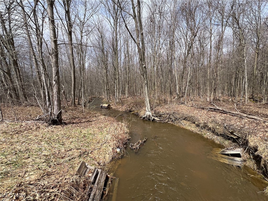 6232 Weaver Road, Conneaut, Ohio image 41