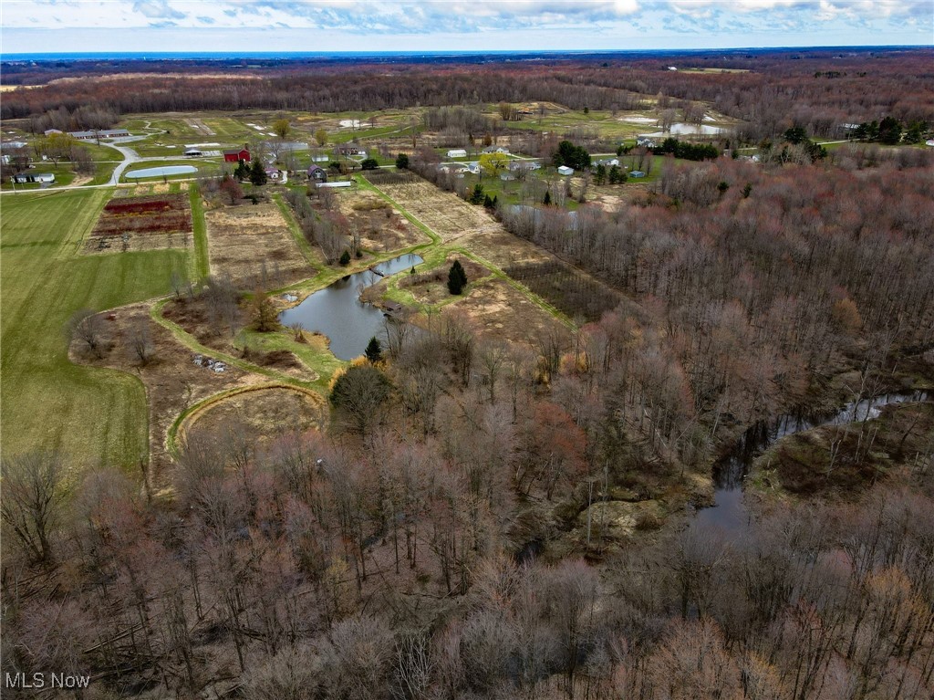 6232 Weaver Road, Conneaut, Ohio image 38