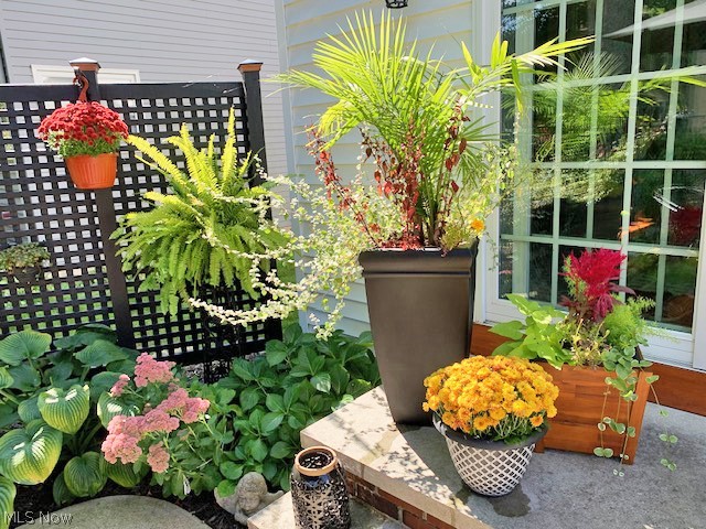 Pheasants Walk - Residential