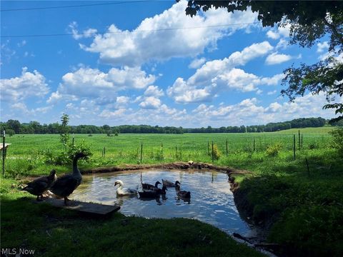 Tiny photo for 8087 Magnet Road NE, Minerva, OH 44657 (MLS # 5203101)