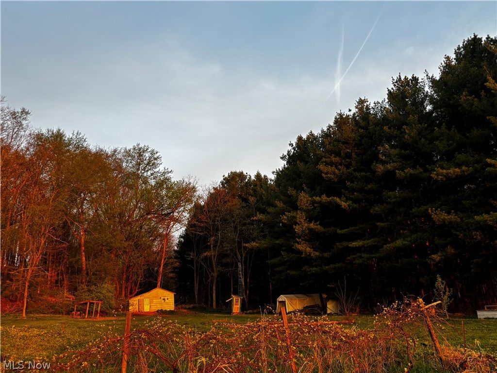 Photo of 8087 Magnet Road NE, Minerva, OH 44657 (MLS # 5203101)