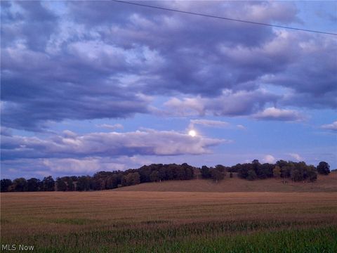 Tiny photo for 8087 Magnet Road NE, Minerva, OH 44657 (MLS # 5203101)