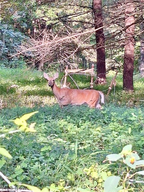 Tiny photo for 8087 Magnet Road NE, Minerva, OH 44657 (MLS # 5203101)