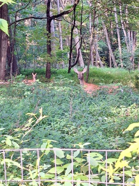 Tiny photo for 8087 Magnet Road NE, Minerva, OH 44657 (MLS # 5203101)