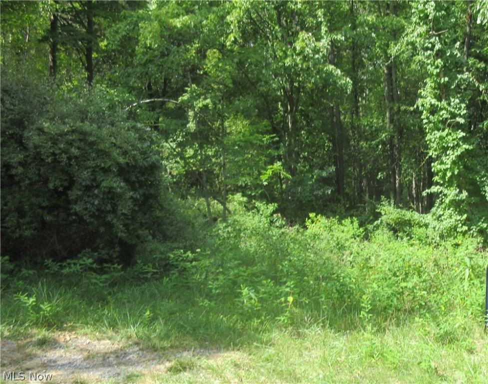 New Philadelphia - Land