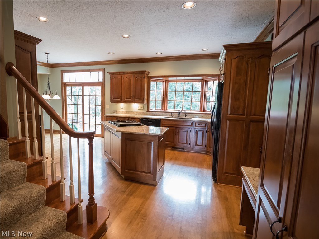 Raintree Estates - Residential