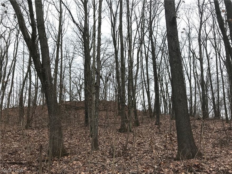 42 acres for sale in Muskingum County, Ohio. Located in one of the top counties in Ohio for hunting this property fits the mold. Great habitat and a good mix of mast producing hardwoods with some marketable timber. Electric is available at the road. Don't miss out and call today!