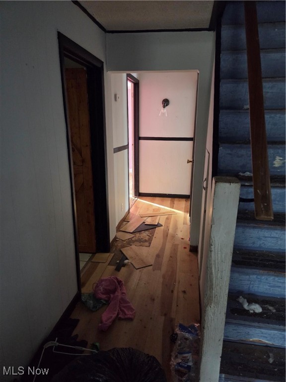 Brunswick Heights - Residential