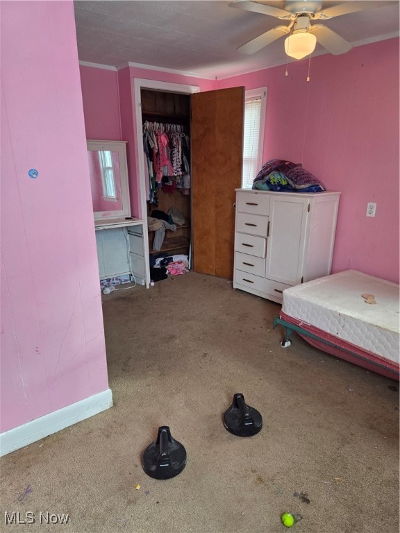 Brunswick Heights - Residential