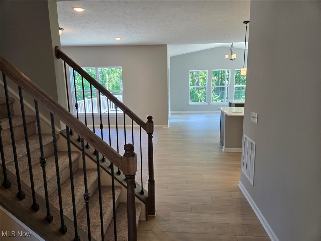 Enclave at Forest Lakes - Residential