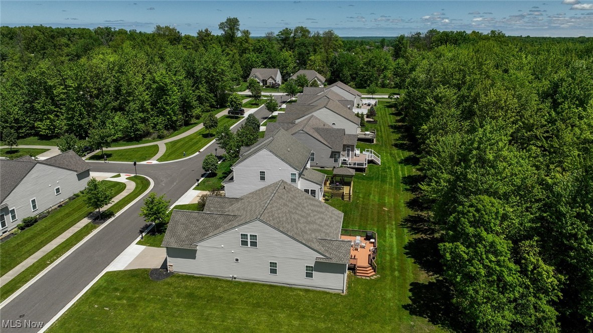 9339 Sasha Court, Twinsburg, Ohio image 46