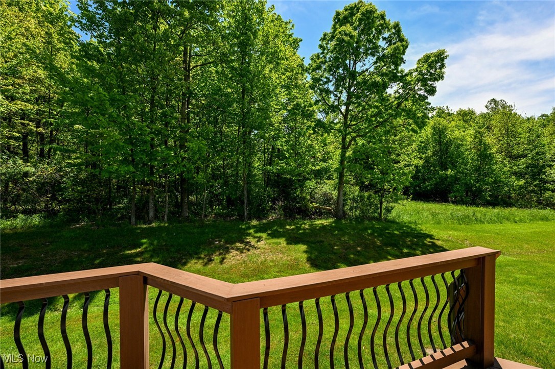 9339 Sasha Court, Twinsburg, Ohio image 39
