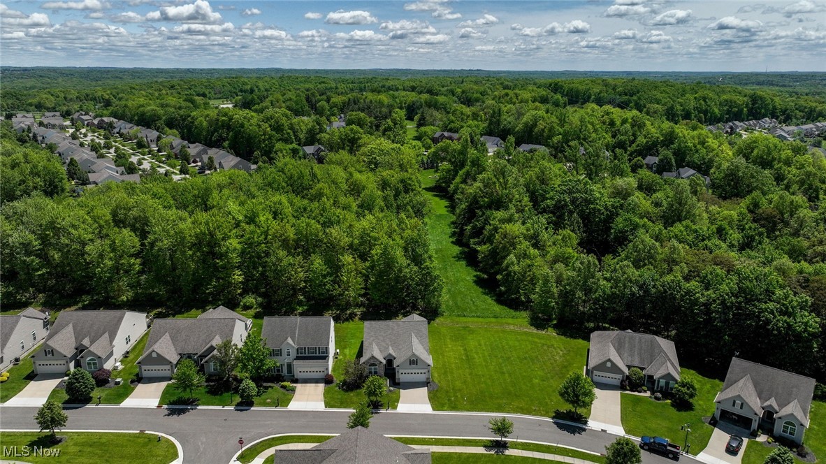 9339 Sasha Court, Twinsburg, Ohio image 5