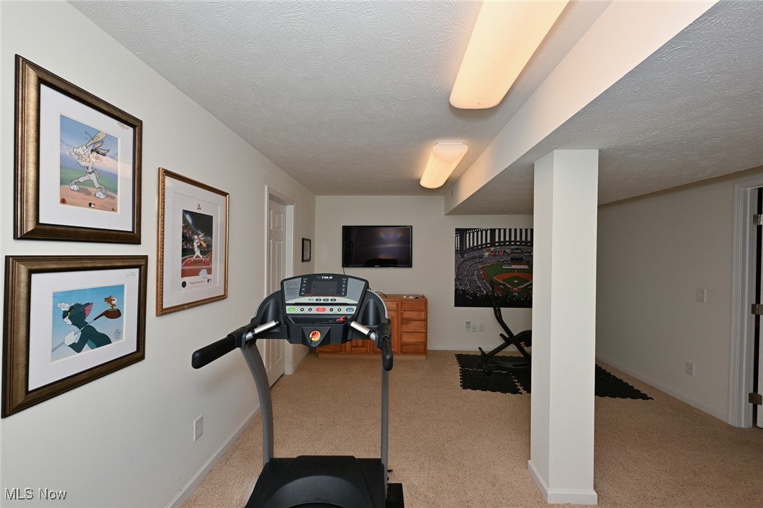 9339 Sasha Court, Twinsburg, Ohio image 38