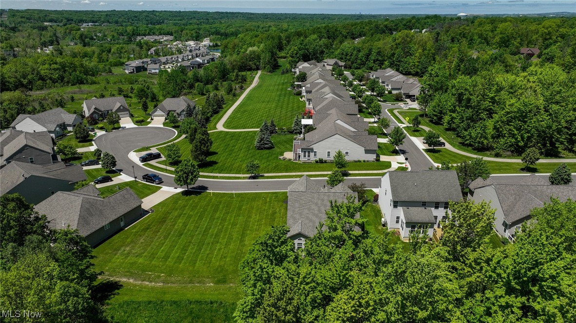 9339 Sasha Court, Twinsburg, Ohio image 47
