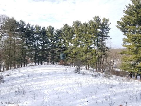 Vacant Land For Sale - Lewis Road<br/> Columbiana County, Salineville, OH 43945