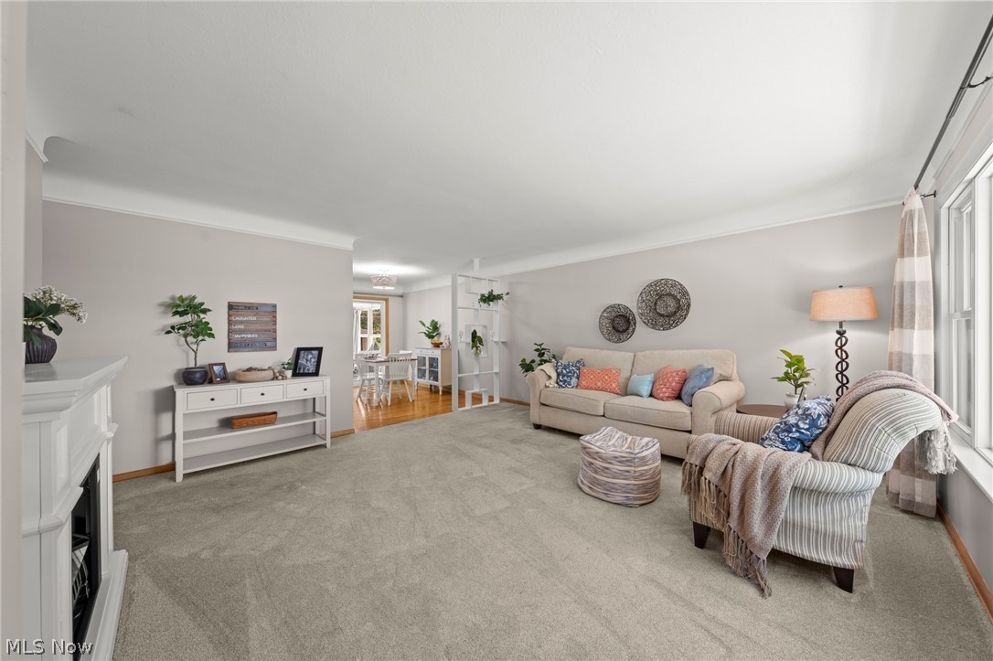 10890 Tiffany Lane