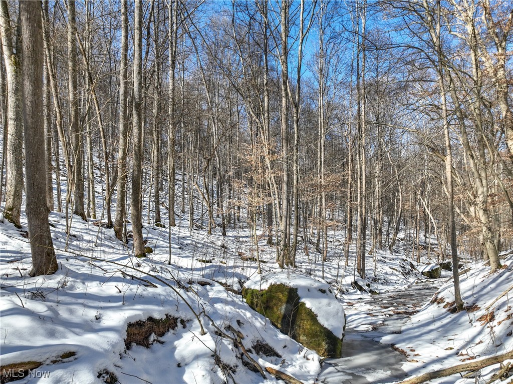 Frost Hill Road, Athens, Ohio image 16