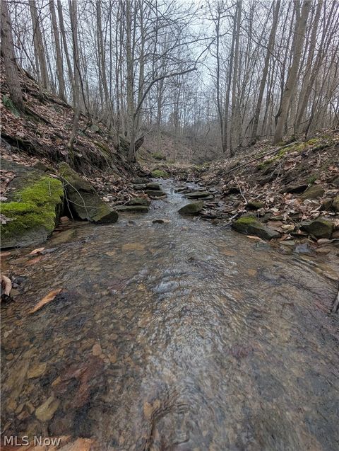 Vacant Land For Sale - COUNTY ROAD 33 County Road 33<br/> Warsaw, OH 43844