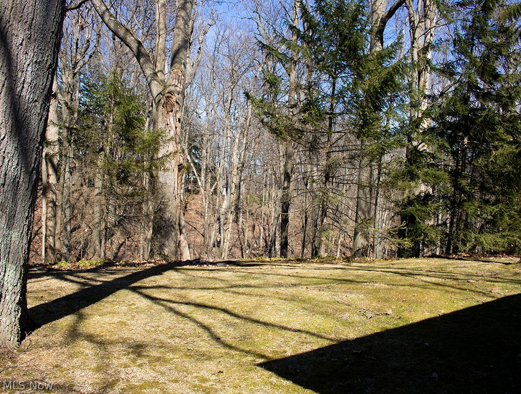 Dalebrook Estates 03 - Residential