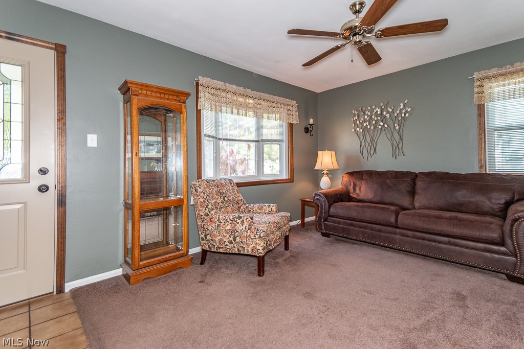 Orchard Park 02 - Residential