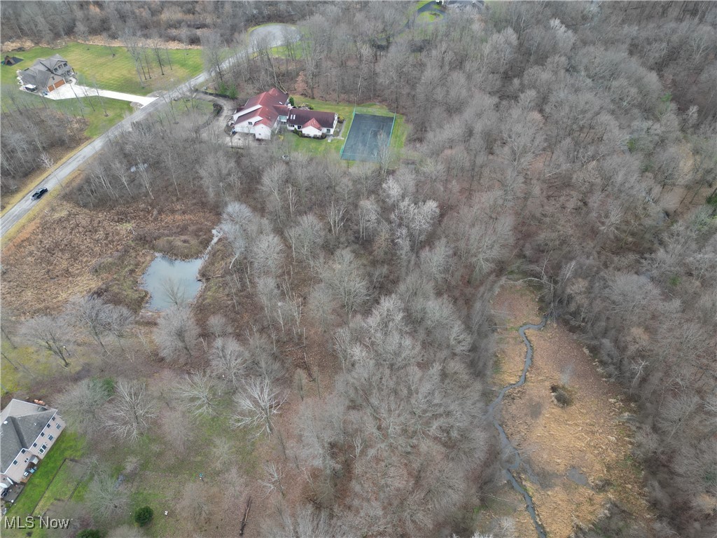 Appaloosa Lane, Hubbard, Ohio image 3