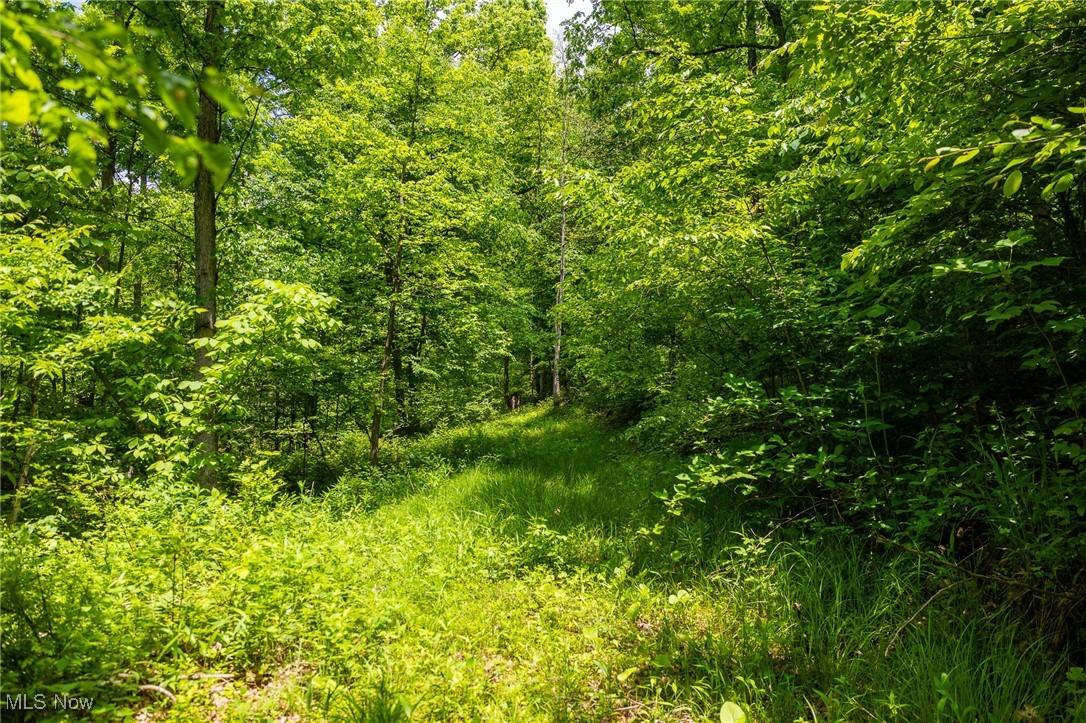 Johnson Hill Road, Newcomerstown, Ohio image 18