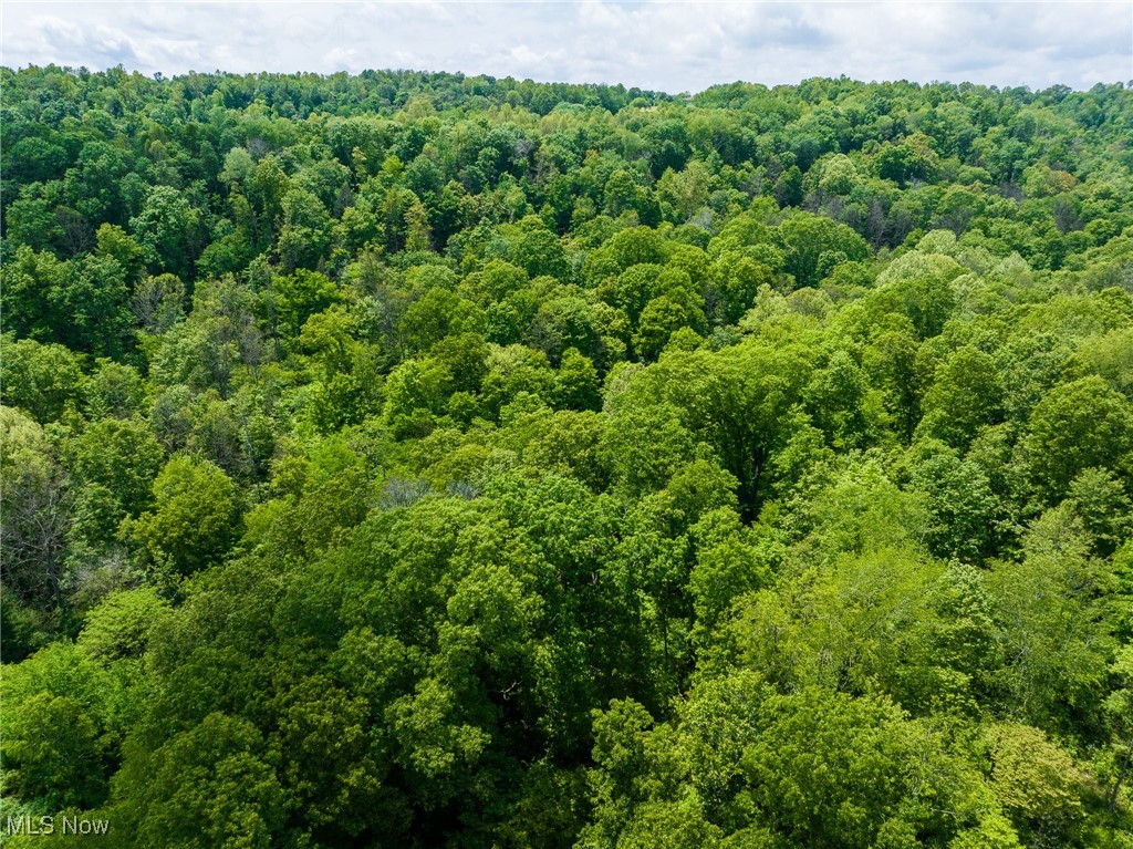 Johnson Hill Road, Newcomerstown, Ohio image 39