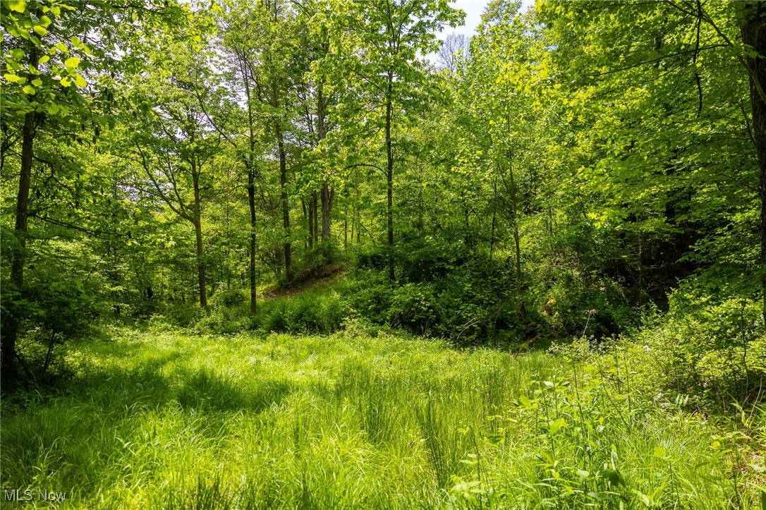 Johnson Hill Road, Newcomerstown, Ohio image 17