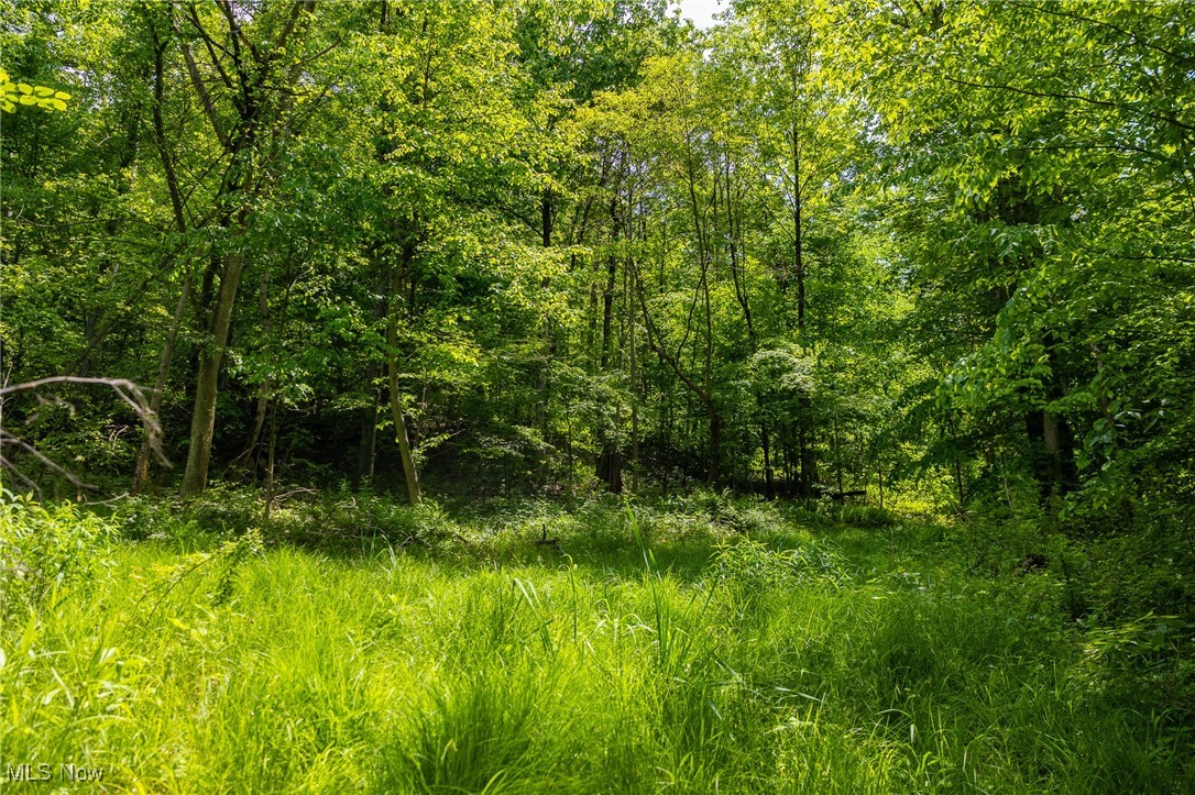 Johnson Hill Road, Newcomerstown, Ohio image 20