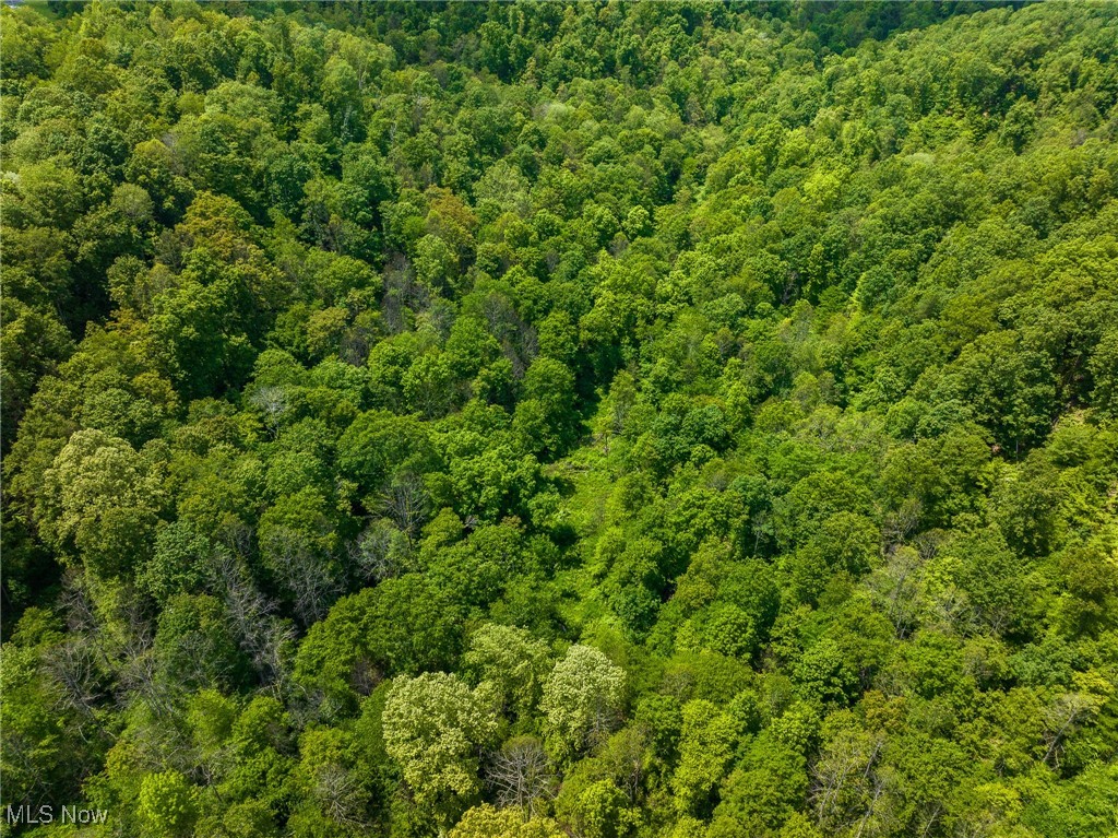Johnson Hill Road, Newcomerstown, Ohio image 45