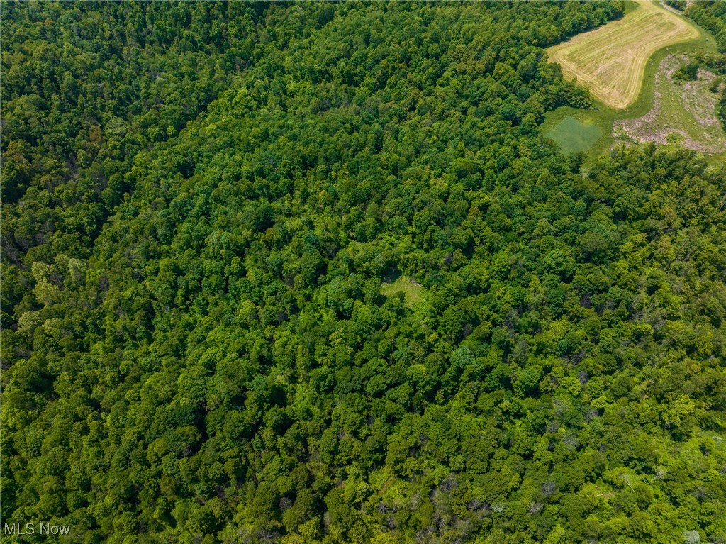 Johnson Hill Road, Newcomerstown, Ohio image 31