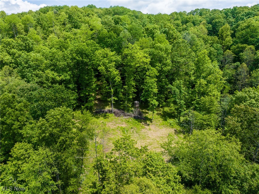 Johnson Hill Road, Newcomerstown, Ohio image 38