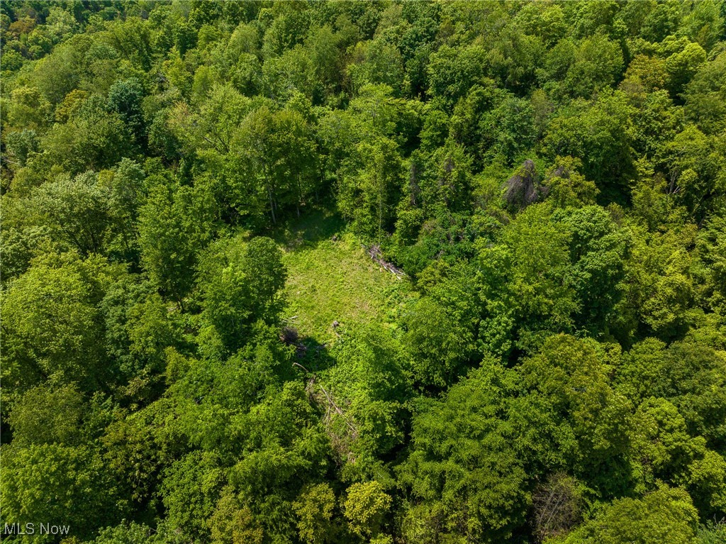 Johnson Hill Road, Newcomerstown, Ohio image 33