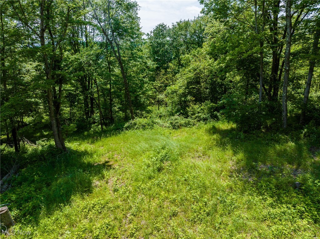 Johnson Hill Road, Newcomerstown, Ohio image 34
