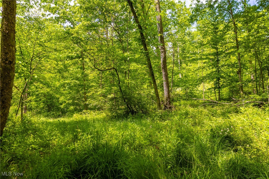 Johnson Hill Road, Newcomerstown, Ohio image 19